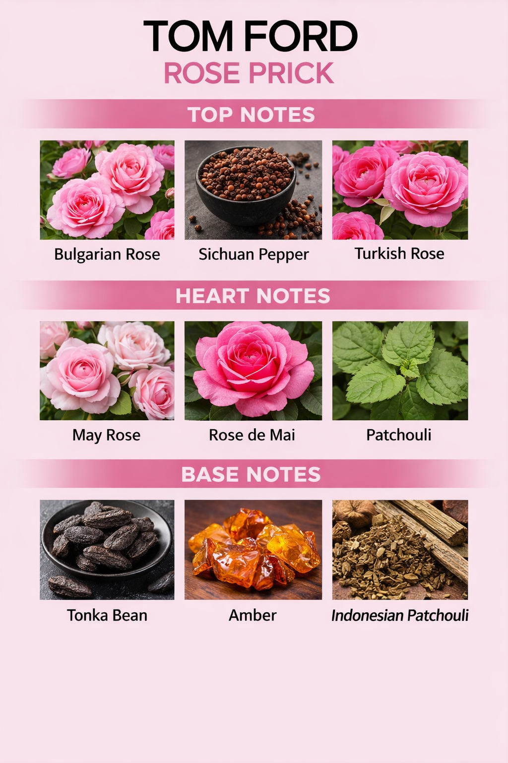 Tom ford rose prick